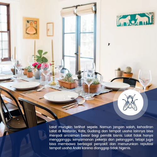 Jasa Pembasmi Lalat