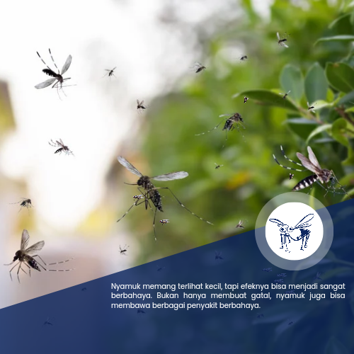 Jasa Pembasmi Nyamuk